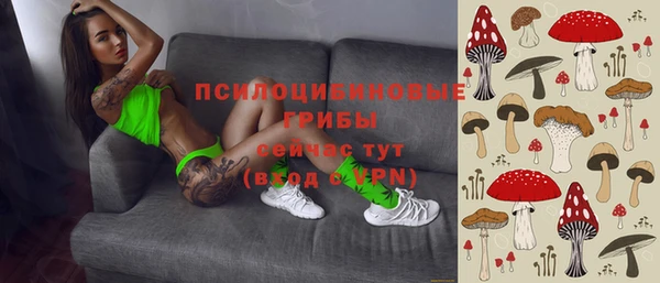 шишки Беломорск
