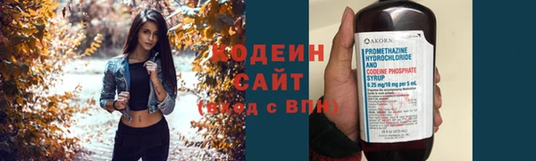 кокс Ельня