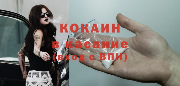шишки Беломорск
