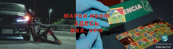шишки Беломорск