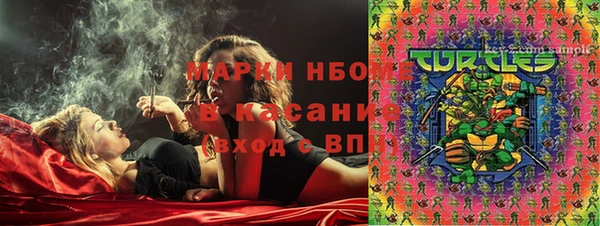 шишки Беломорск