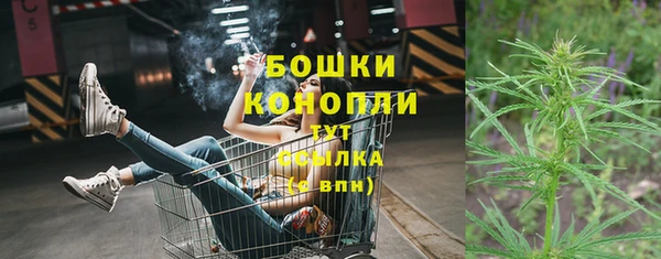 шишки Беломорск