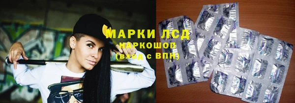 шишки Беломорск