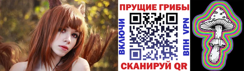 Псилоцибиновые грибы GOLDEN TEACHER  Горно-Алтайск 