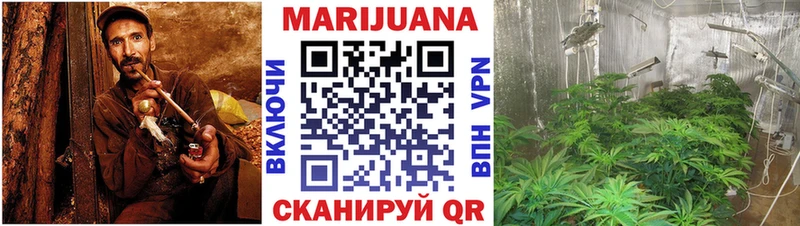 Бошки марихуана MAZAR  наркотики  omg зеркало  Горно-Алтайск 